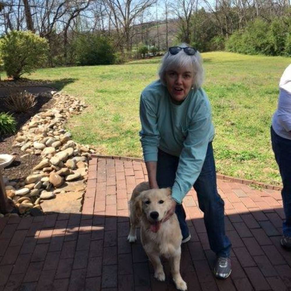 Meet your Posher, Shirley